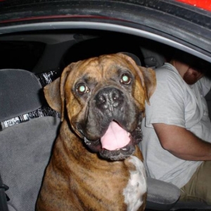 Out Cruzen