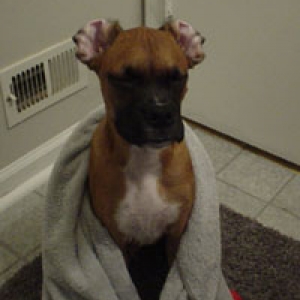 i'm not posing for this