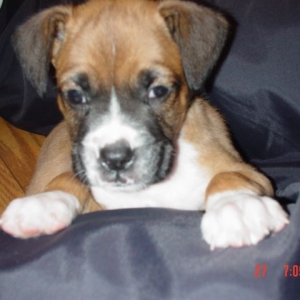 Tyson21