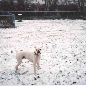 What is this White Stuff?