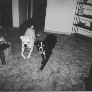 Charlie Paper & his girlfriend