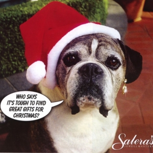 cute advert for a jewellers