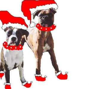 Merry Christmas!!  Love Taya & Mateus