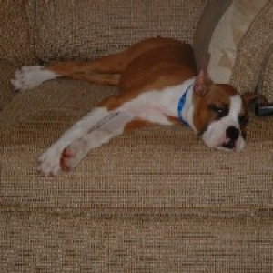 sleepy time