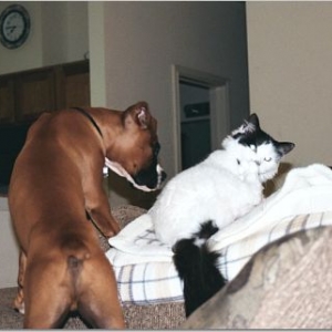 Deuce checking Squirt out