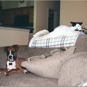 Deuce and Squirt sharing the chair