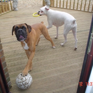 football boy