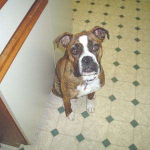 Lily