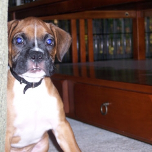 Lennox's serious face