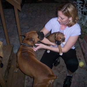 Lennox and his 2 moms...