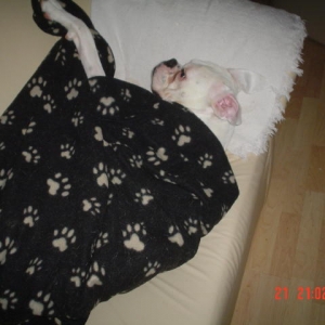 night night
