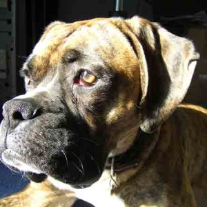 Rita