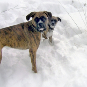Rita and Lola