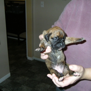 Kiki @ 2 weeks