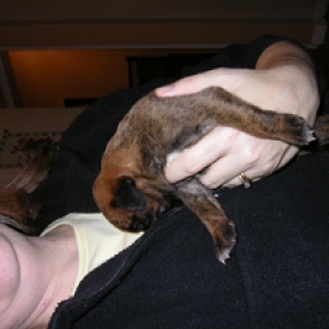 Kiki @ 2 weeks