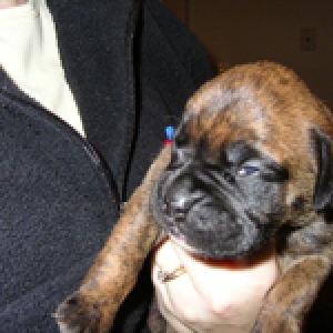 Kiki @ 2 weeks