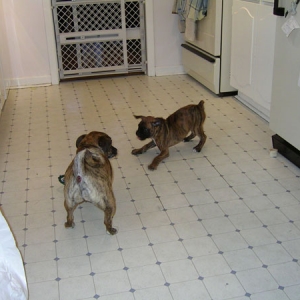 lola and kiki playing