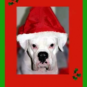 Merry Christmas and happy new year!!