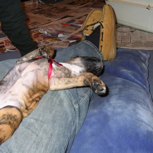 kiki napping again
