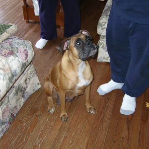 kiki's mommy, Jill