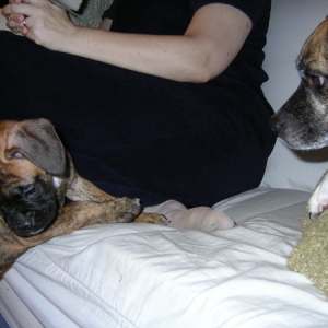 kiki getting told off by lola