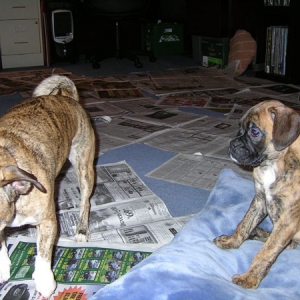 lola meets kiki