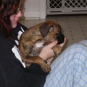 cuddles