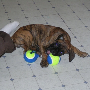 kiki's toy
