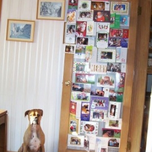 cards_2004