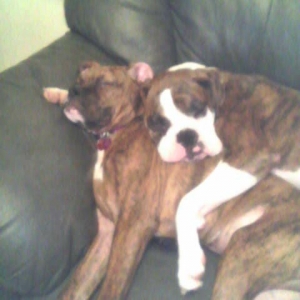 a rare moment of rest!!
