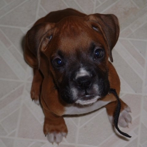 First Day Home