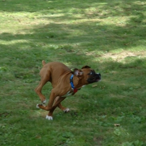 How Fast Can I Go?