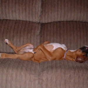 Sleeping on Back