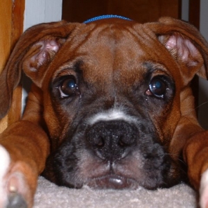 Tired Out