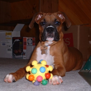 Samson's Ball