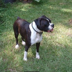 Ma Man Zeus!!