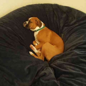 Sleeping_in_the_Luv_Sac