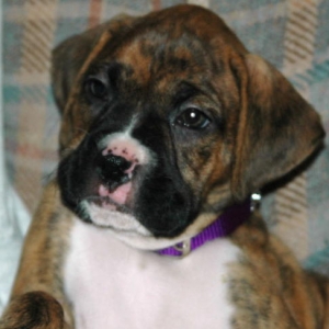 peppy girl