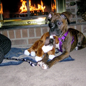 Bella with her new toy