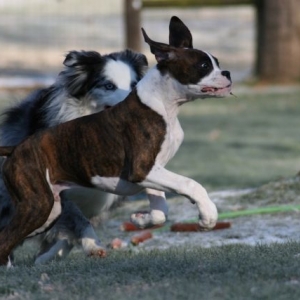 The stick is mine, hahaha.