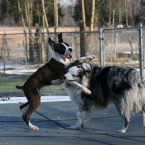 Ouch! Let go of my leg!