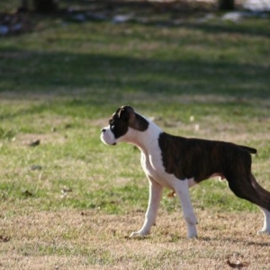 Looking for trouble.