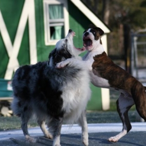OK, on the count of 3, lets see who's mouth is wider...