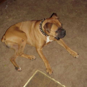 My Big Boy....