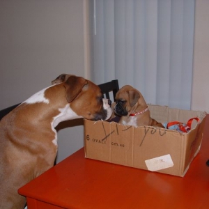 Jack meets his new sister Ruby