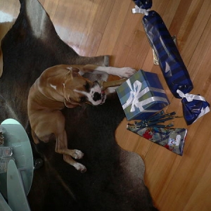 Busters 1st x-mas!!!