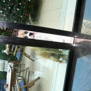 Why do I have to be out here???