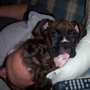 tigger cuddling with daddy