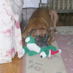 nesxmassleep