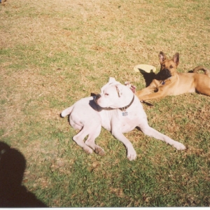 Sunbathing
